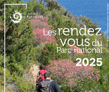 Illustration 'les rendez-vous du Parc National'